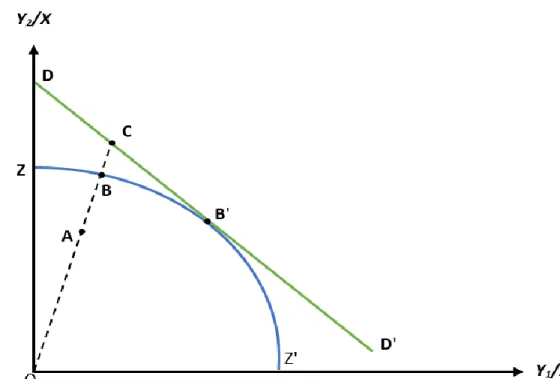Figure 1. Technical and allocative Efficiency from an output orientation. (Source: Coelli, 1996)