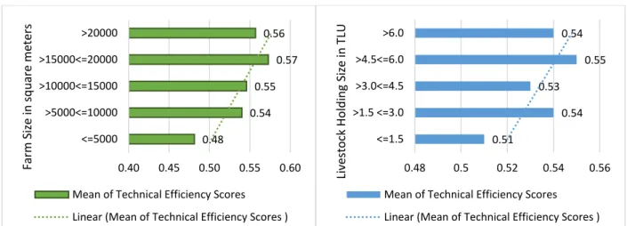 Figure 3. Distribution of technical efficiency across different (a) landholding and (b) livestock holding sizes 