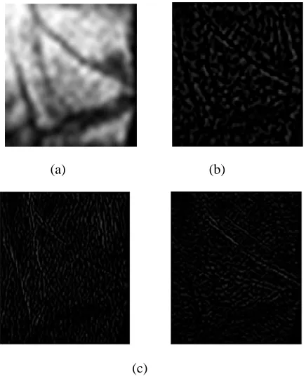 Fig. 7. The ROI of palm print image  