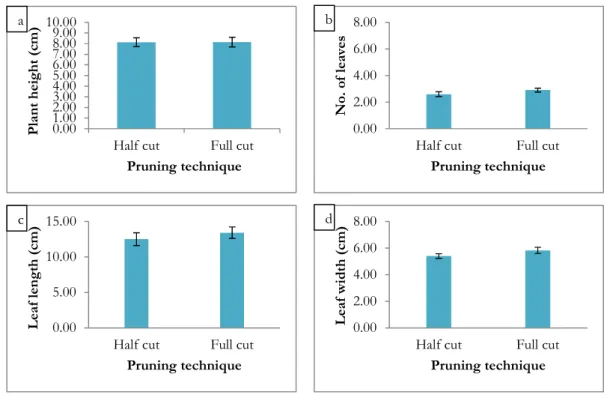 Fig. 5: Growth performances of L. pumila a) plant height; b) number of leaves; c) leaf length and d) leaf width  resulted from two pruning techniques