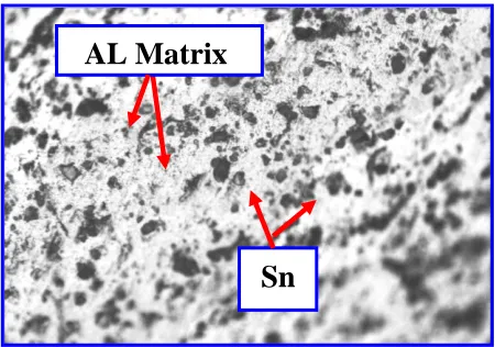 Fig. 1. Scanning Electron Microscopy (SEM) Together with the                                                Energy Dispersive Spectroscopy (EDS)