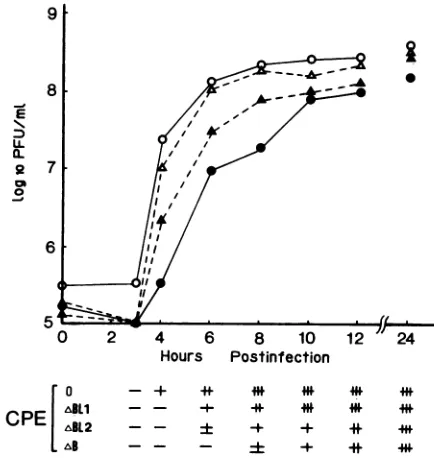 FIG. 9.vr.iam*genomesPVI$Sab)IC-PV1(iM)C-ABhomology Second-site suppressor mutations detected in the 5' noncoding sequence of large-plaque variant genomes