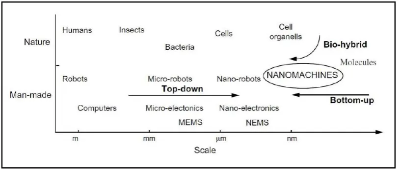 Figure 1.1  Approaches for development of nanomachine [1] 