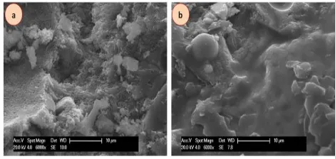 Fig. 15. Microstructure of two 1600 kg/m3 foamed concretes (a)  Conventional, FC6 (b) with additives, FCa6