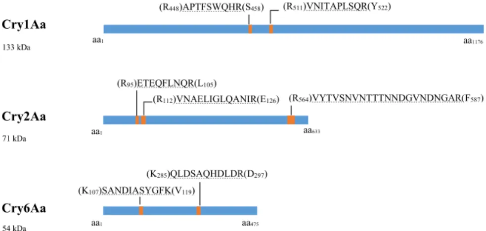 Figure 2. Schematic overview of the targeted proteotypic peptide in three Cry proteins present  in known amounts in artificial mixtures used for LC-MS/MS-MRM method validation