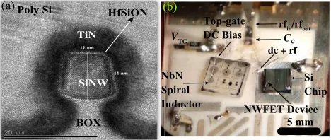 FIG. 6.(a) Transmission electron micrograph (TEM) of siliconNWFET cross section perpendicular to the direction of trans-port of a narrower device similar to the ones measured in thispaper