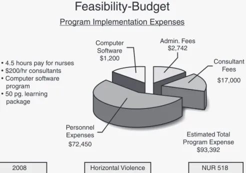 Figure 5-3  Sample budget for evidence-based practice projects.