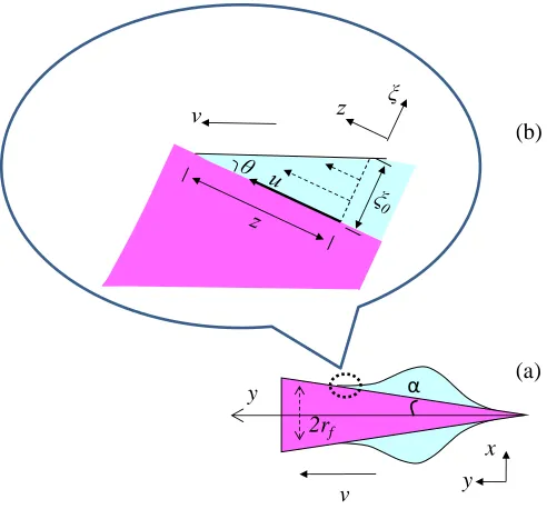 Figure 2.12. Schematics of a drop on a cone: (a) liquid moving on the cone, and (b) the 