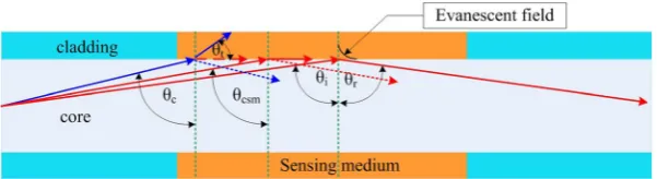 Figure 4. Illustration of sensing mechanisms in Zone II due to the combination of EWA and mode power loss by the modification of the critical angle (θcsm)