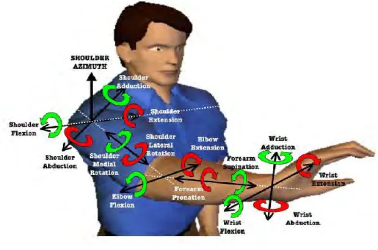 Figure 2.2: Four basic degrees of freedom of the arm .a) Adduction/Abduction  