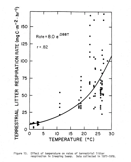 Figure 13. Effect of temperature on rates of terrestrial l i t t e r  respiration in Creeping Swamp