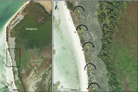 FIGURES Figure 3.1. Example Miami blue butterfly habitat and survey locations. Coastal prairie, 