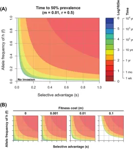 FIG 1 Rate of invasion of a CD8 T cell escape variant. (A) Contour plots show the number of generationson a log scale required for the escape variant to increase from 0.01% to 50% prevalence, predicted byequation 1