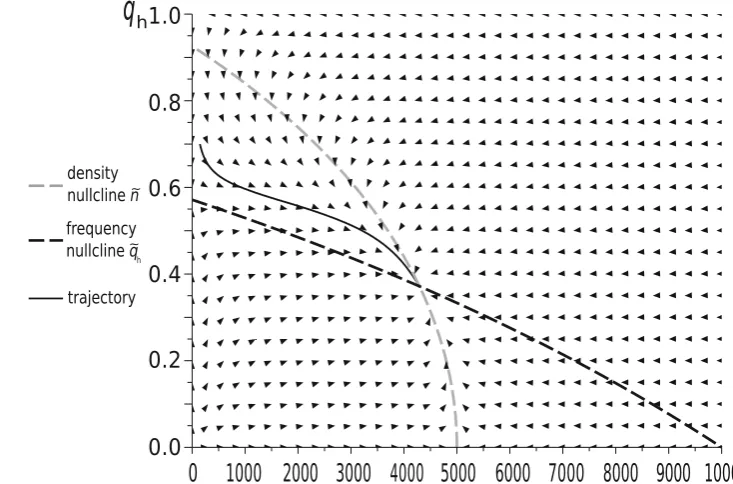 Fig. 2 The dynamics of a Hawk–Dove population in our new modelwith initial conditions qhð0Þ ¼ 0:7 and nð0Þ ¼ 147