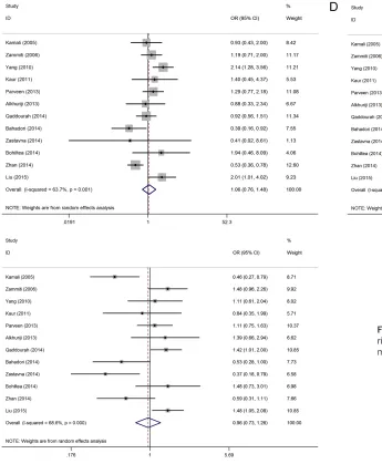 Figure S2. Forest plot of the -592C>A polymorphism and RUSA risk (overall). A. Allele model; B