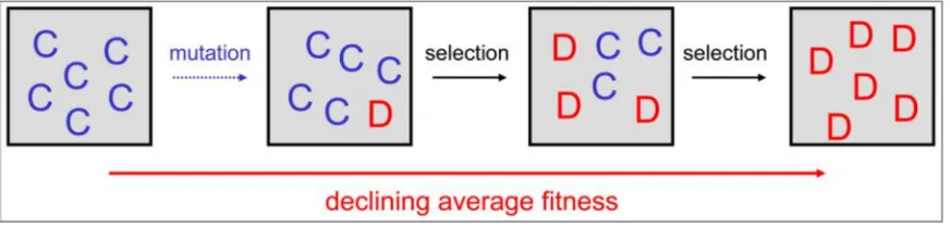 Figure 1.2: Without any mechanism for the evolution of cooperation, natural selection 