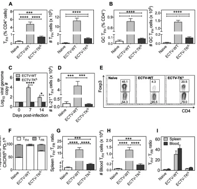 FIG 3 Inﬂuence of viral replicative capacity on splenic and blood TTgraphical representation (F)