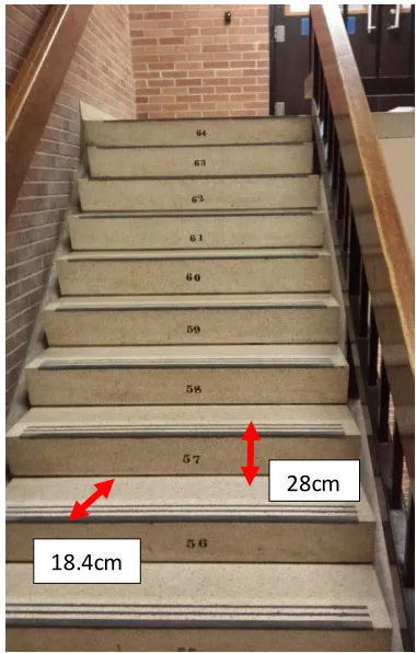 Figure 4: Typical numbered staircase that the SC SIT sessions were performed on. The participant ran up the stairs as fast and as safe as possible using the handrail if necessary for a total of 15 secs, which represented the completion of one work interval
