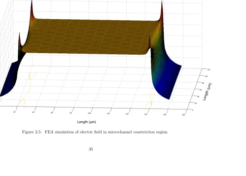 Figure 2.5:FEA simulation of electric ﬁeld in microchannel constriction region.