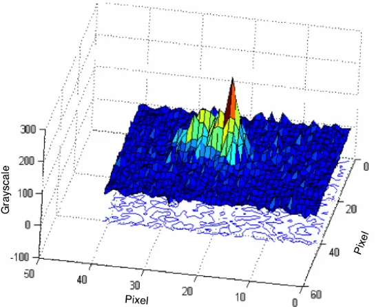 Figure 2.16:Single DNA molecule image, shown in 3-D plot (pseudo color).