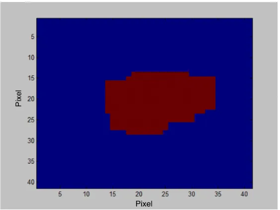 Figure 2.17:Single DNA molecule image (pseudo color).
