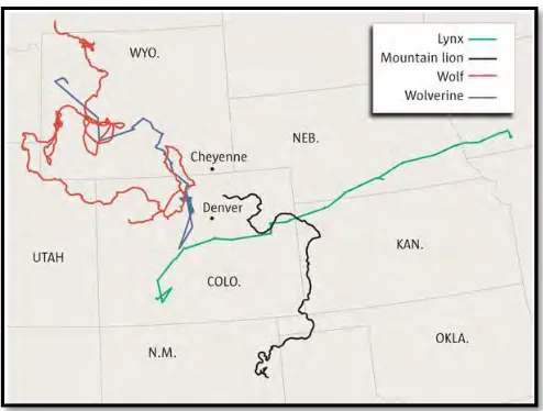 Figure 2.6: Example of tracking wildlife by using Global Position System (GPS)[8] 