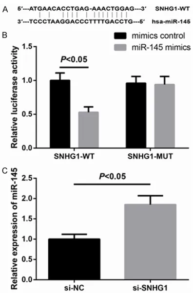 Table 2, increased SNHG1 expression level in 