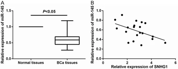 Figure 5. miR-145 expression is negatively associated with SNHG1 expres-sion in BCa tissues