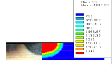 Fig. 10. Three dimensional finite element model meshes. 