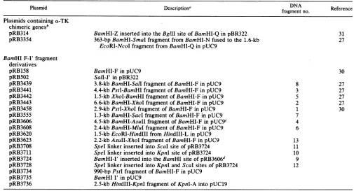 TABLE 1. Recombinant plasmids used in these studies