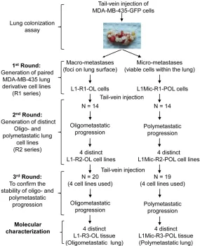 Figure 1 summarizes the 
