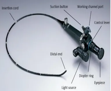 Figure showing parts of fiberoptic bronchoscope 