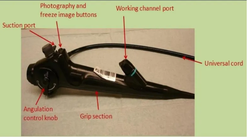 Figure showing the parts of working channels of fiberoptic 