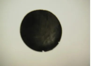 Figure 2  Framed carbon nanotubes   