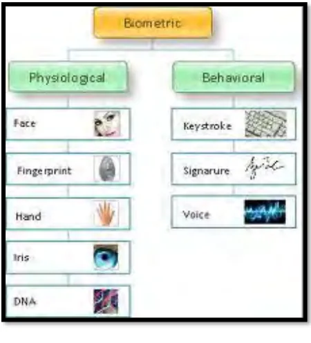 Figure 2.1 Category of Biometrics  
