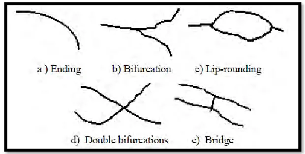Figure 2.3 Category of minutia fingerprints feature(Zhou & Lu 2010) 