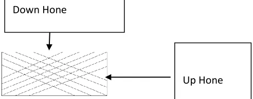 Fig. 1. Surface Texture with honed lines. 