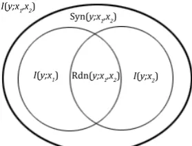 Figure 2: Different types of information among3 random variables y , x 1 , x 2 .I ( y ; x 1 , x 2 )isthe mutual information between yand ( x 1 , x 2 ) .Rdn( y ; x 1 , x 2 ) and Syn( y ; x 1 , x 2 ) are the redun-dant information and synergistic information be-tween x 1 , x 2 , conditioning y , respectively.