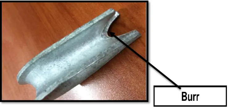 Figure 1.1 : The Defect Burr 