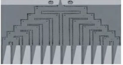 Figure 2.5 : The 1x12 Antipodal LTSA array antenna feed by quasi triangular power 