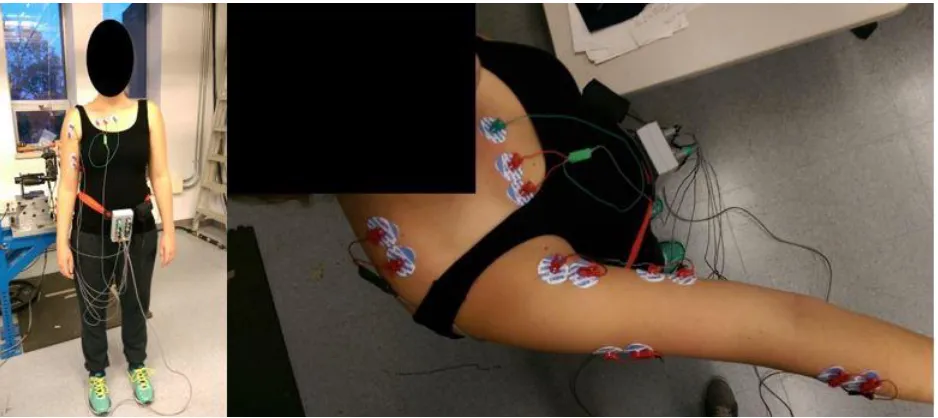 Figure 8. Front and top view of the electromyography system and set-up. 