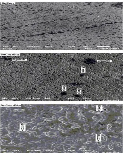 Fig. 2. Scanning electron micrographs of Sn99.3-xCu0.7Bix alloys 
