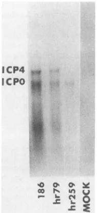 TABLE 1. Marker rescue of the host-range mutation in hr79a