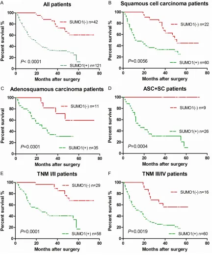 Figure 2. Survival analysis for NSCLC patients. A. Comparison of the overall survival (OS) between SUMO1 low expression and SUMO1 overexpression NSCLC patients