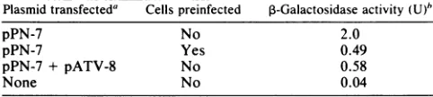 TABLE 3. Cotransfection with a gag-expressing plasmid has thesame effect as transfection of preinfected cells