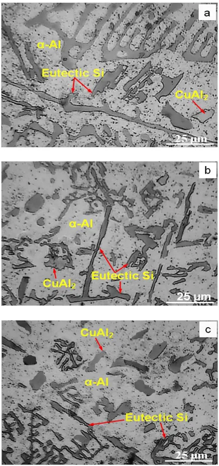 Fig. 7. Microstructures of air-cooled casting   