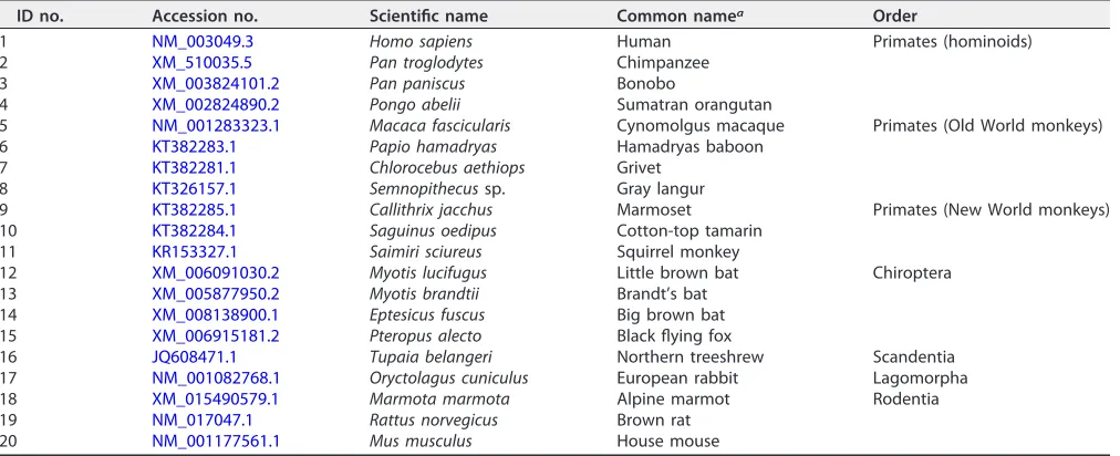 FIG 1 ML tree of the 20 NTCP sequences analyzed in this study. An ML tree of 20 mammalian full-length NTCPsequences was reconstructed using PhyML 3.0