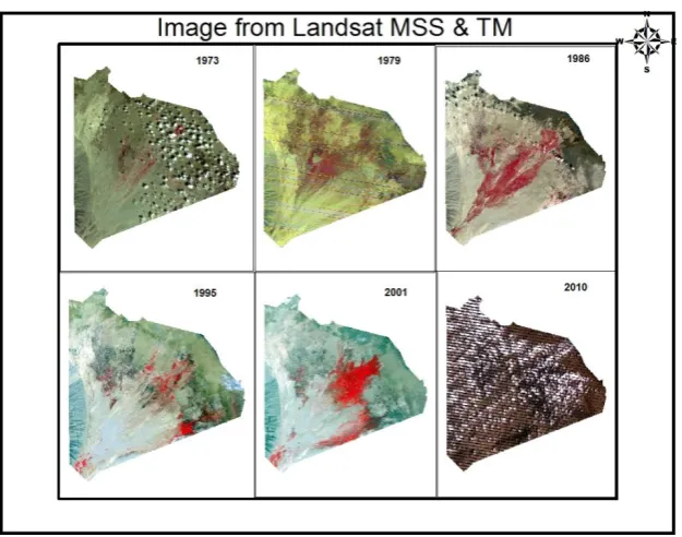 Fig. 4: Analysis by (NDVI). 
