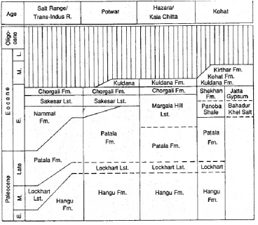 Figure 3 Cenozoic sequences of the Upper Indus Basin (after Porth & Raza 1990 a, fig 5) 