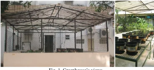 Fig. 1. Greenhouse’s views. 